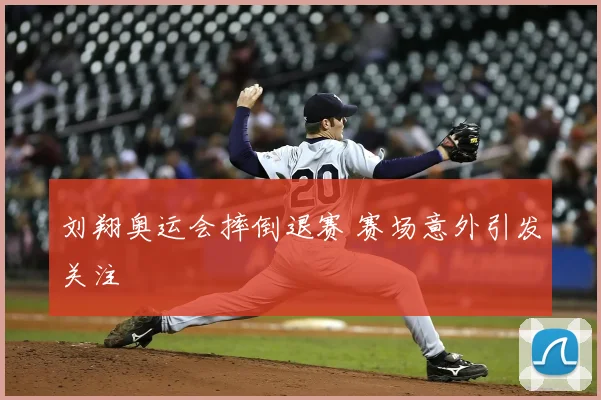 刘翔奥运会摔倒退赛 赛场意外引发关注